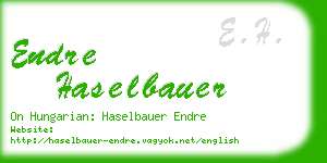 endre haselbauer business card